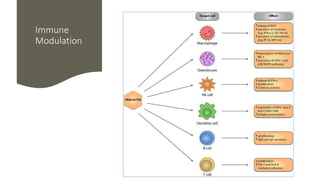 Immune
Modulation
 
