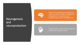 Neurogenesis
and
neuroprotection
Chronic stress exposure and depressive
states are known to affect neurogenesis.
Neurogenesis is the process that
produces new neurons throughout life.
Prolactin alters neural circuits to help the
individual to cope with stress
 
