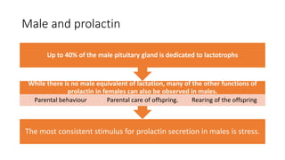 Male and prolactin
The most consistent stimulus for prolactin secretion in males is stress.
While there is no male equivalent of lactation, many of the other functions of
prolactin in females can also be observed in males.
Parental behaviour Parental care of offspring. Rearing of the offspring
Up to 40% of the male pituitary gland is dedicated to lactotrophs
 