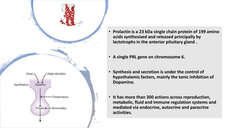 • Prolactin is a 23 kDa single chain protein of 199 amino
acids synthesized and released principally by
lactotrophs in the anterior pituitary gland .
• A single PRL gene on chromosome 6.
• Synthesis and secretion is under the control of
hypothalamic factors, mainly the tonic inhibition of
Dopamine.
• It has more than 300 actions across reproduction,
metabolic, fluid and immune regulation systems and
mediated via endocrine, autocrine and paracrine
activities.
 