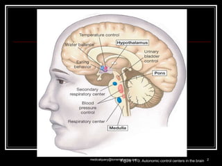 Figure 11-3: Autonomic control centers in the brain [email_address] 