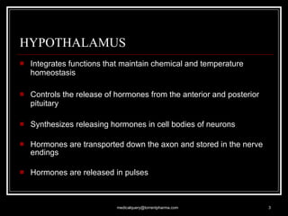 HYPOTHALAMUS Integrates functions that maintain chemical and temperature homeostasis Controls the release of hormones from the anterior and posterior pituitary Synthesizes releasing hormones in cell bodies of neurons Hormones are transported down the axon and stored in the nerve endings Hormones are released in pulses [email_address] 