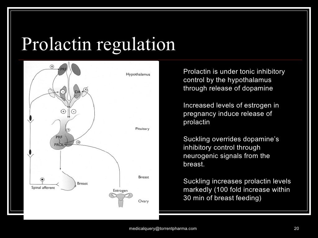 Prolactin+final