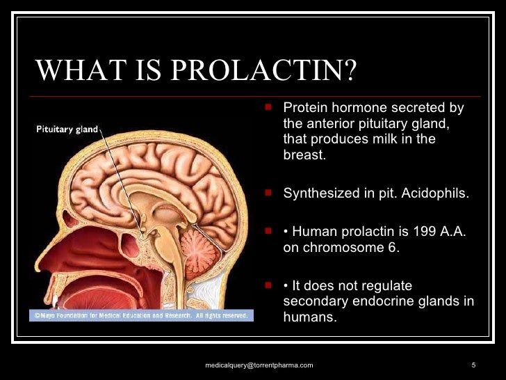 Prolactin+final