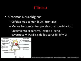 Clínica
• Síntomas Neurológicos:
– Cefalea más común (50%) frontales.
– Menos frecuentes temporales o retroorbitarios.
– Crecimiento expansivo, invade el seno
cavernoso Parálisis de los pares III, IV y VI
Andía Melero, Endocrinología. Madrid: Médica Panamericana, 2a ed. 2010 pp 96-105.
 