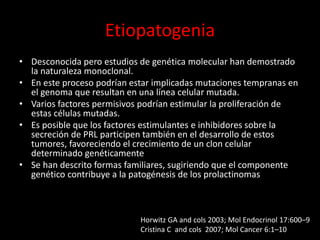 Etiopatogenia
• Desconocida pero estudios de genética molecular han demostrado
la naturaleza monoclonal.
• En este proceso podrían estar implicadas mutaciones tempranas en
el genoma que resultan en una línea celular mutada.
• Varios factores permisivos podrían estimular la proliferación de
estas células mutadas.
• Es posible que los factores estimulantes e inhibidores sobre la
secreción de PRL participen también en el desarrollo de estos
tumores, favoreciendo el crecimiento de un clon celular
determinado genéticamente
• Se han descrito formas familiares, sugiriendo que el componente
genético contribuye a la patogénesis de los prolactinomas
Horwitz GA and cols 2003; Mol Endocrinol 17:600–9
Cristina C and cols 2007; Mol Cancer 6:1–10
 
