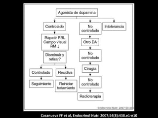 Casanueva FF et al, Endocrinol Nutr. 2007;54(8):438.e1-e10
 