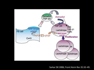 Sarkar DK 2006; Front Horm Res 35:32–49.
 