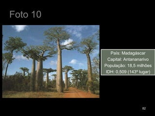 Foto 10 País: Madagáscar Capital: Antananarivo População: 18,5 milhões IDH: 0,509 (143º lugar) 