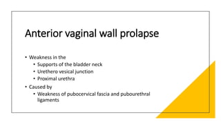 Anterior vaginal wall prolapse
• Weakness in the
• Supports of the bladder neck
• Urethero vesical junction
• Proximal urethra
• Caused by
• Weakness of pubocervical fascia and pubourethral
ligaments
 