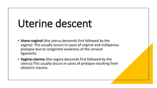 Uterine descent
• Utero-vaginal (the uterus descends first followed by the
vagina): This usually occurs in cases of virginal and nulliparous
prolapse due to congenital weakness of the cervical
ligaments.
• Vagino-uterine (the vagina descends first followed by the
uterus):This usually occurs in cases of prolapse resulting from
obstetric trauma.
 
