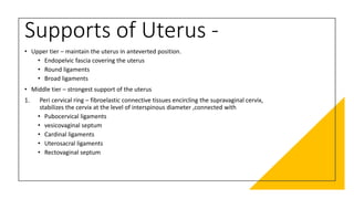 Supports of Uterus -
• Upper tier – maintain the uterus in anteverted position.
• Endopelvic fascia covering the uterus
• Round ligaments
• Broad ligaments
• Middle tier – strongest support of the uterus
1. Peri cervical ring – fibroelastic connective tissues encircling the supravaginal cervix,
stabilizes the cervix at the level of interspinous diameter ,connected with
• Pubocervical ligaments
• vesicovaginal septum
• Cardinal ligaments
• Uterosacral ligaments
• Rectovaginal septum
 