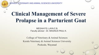 Clinical Management of Severe
Prolapse in a Parturient Goat
MEGHA P.S.,LAYA C.B.
Faculty advisor : Dr. MAGNUS PAUL K.
College of Veterinary & Animal Sciences
Kerala Veterinary & Animal Sciences University
Pookode, Wayanad
KERALA VETERINARY AND ANIMAL SCIENCES UNIVERSITY
 