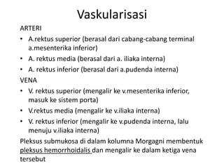Vaskularisasi
ARTERI
• A.rektus superior (berasal dari cabang-cabang terminal
a.mesenterika inferior)
• A. rektus media (berasal dari a. iliaka interna)
• A. rektus inferior (berasal dari a.pudenda interna)
VENA
• V. rektus superior (mengalir ke v.mesenterika inferior,
masuk ke sistem porta)
• V.rektus media (mengalir ke v.iliaka interna)
• V. rektus inferior (mengalir ke v.pudenda interna, lalu
menuju v.iliaka interna)
Pleksus submukosa di dalam kolumna Morgagni membentuk
pleksus hemorrhoidalis dan mengalir ke dalam ketiga vena
tersebut
 