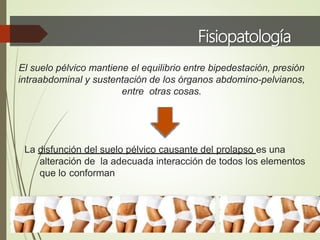 Fisiopatología
La disfunción del suelo pélvico causante del prolapso es una
alteración de la adecuada interacción de todos los elementos
que lo conforman
El suelo pélvico mantiene el equilibrio entre bipedestación, presión
intraabdominal y sustentación de los órganos abdomino-pelvianos,
entre otras cosas.
 