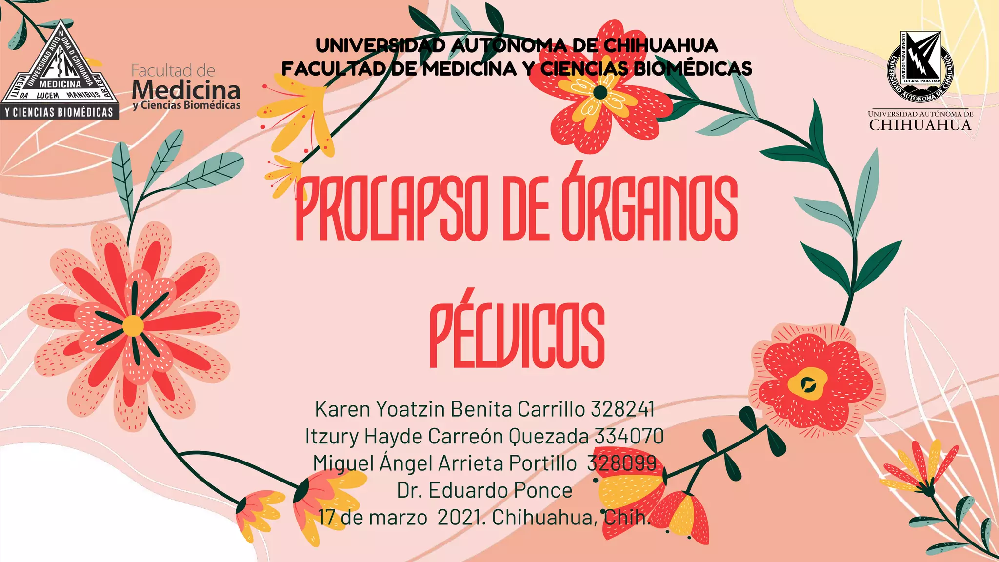 Prolapso de órganos pélvicos(1).pdf