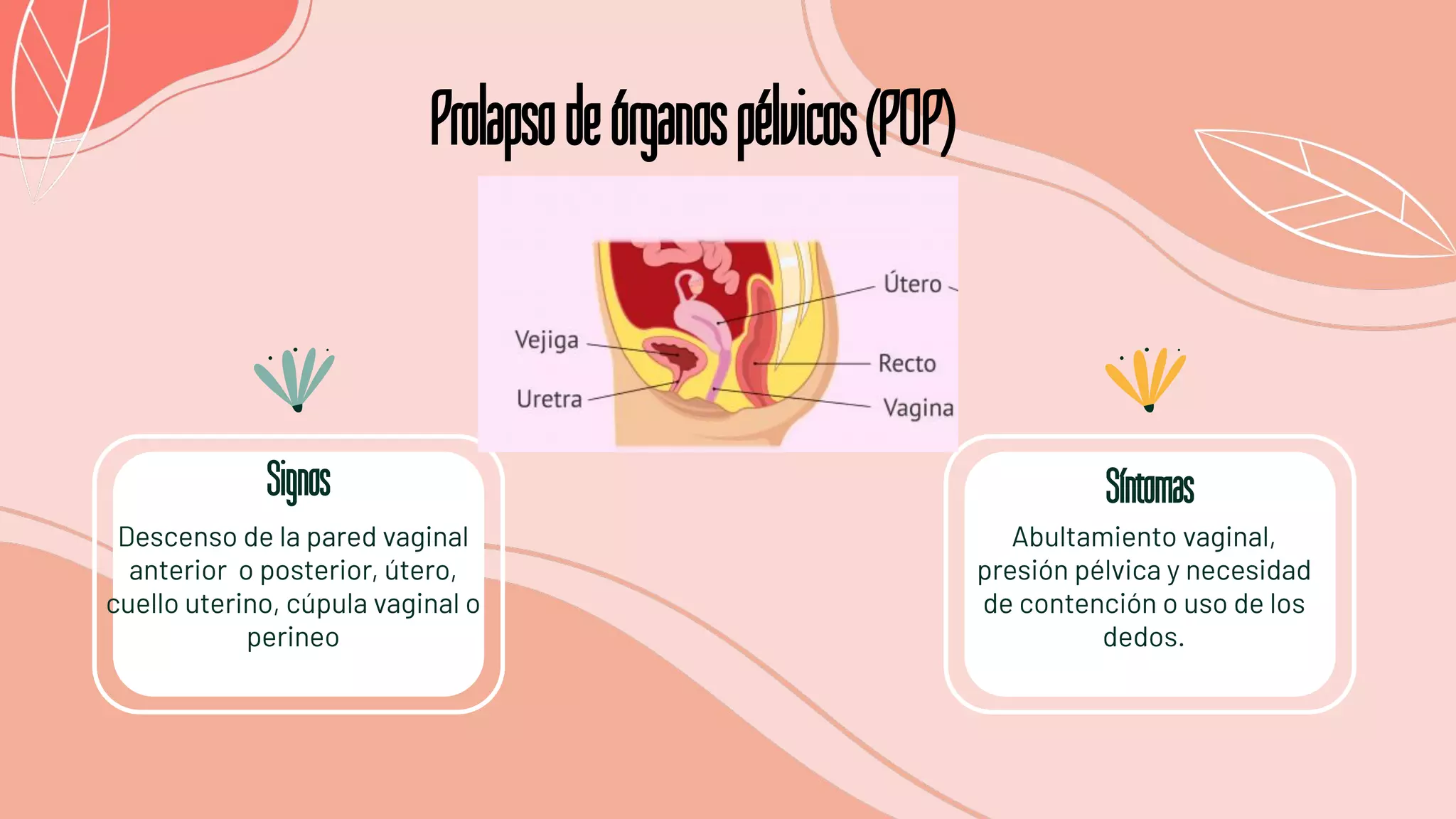 Prolapso de órganos pélvicos(1).pdf