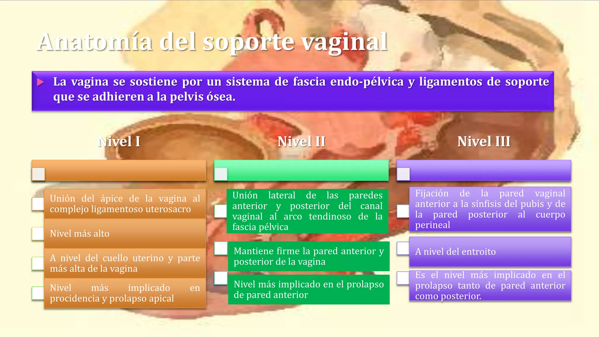 Prolapso e incontinencia urinaria