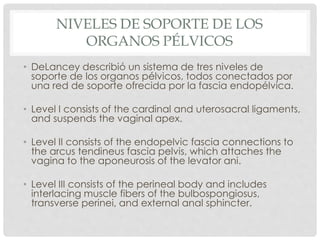 NIVELES DE SOPORTE DE LOS
ORGANOS PÉLVICOS
• DeLancey describió un sistema de tres niveles de
soporte de los organos pélvicos, todos conectados por
una red de soporte ofrecida por la fascia endopélvica.
• Level I consists of the cardinal and uterosacral ligaments,
and suspends the vaginal apex.
• Level II consists of the endopelvic fascia connections to
the arcus tendineus fascia pelvis, which attaches the
vagina to the aponeurosis of the levator ani.
• Level III consists of the perineal body and includes
interlacing muscle fibers of the bulbospongiosus,
transverse perinei, and external anal sphincter.
 