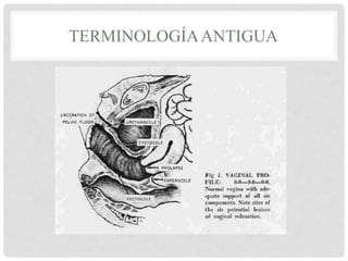 TERMINOLOGÍAANTIGUA
 