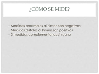 • Medidas proximales al himen son negativas
• Medidas distales al himen son positivas
• 3 medidas complementarias sin signo
¿CÓMO SE MIDE?
 