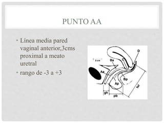 PUNTO AA
• Línea media pared
vaginal anterior,3cms
proximal a meato
uretral
• rango de -3 a +3
 