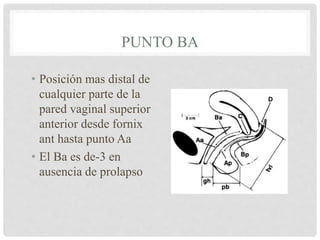 PUNTO BA
• Posición mas distal de
cualquier parte de la
pared vaginal superior
anterior desde fornix
ant hasta punto Aa
• El Ba es de-3 en
ausencia de prolapso
 