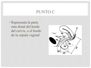 PUNTO C
• Representa la parte
más distal del borde
del cervix, o el borde
de la cúpula vaginal
 