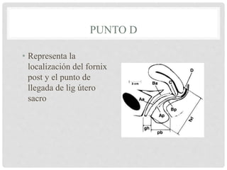 PUNTO D
• Representa la
localización del fornix
post y el punto de
llegada de lig útero
sacro
 