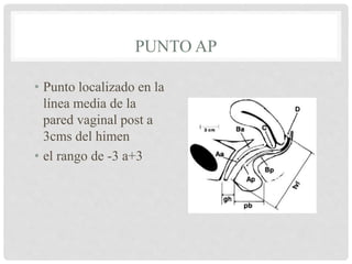 PUNTO AP
• Punto localizado en la
línea media de la
pared vaginal post a
3cms del himen
• el rango de -3 a+3
 
