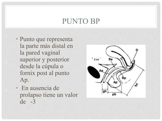 PUNTO BP
• Punto que representa
la parte más distal en
la pared vaginal
superior y posterior
desde la cúpula o
fornix post al punto
Ap.
• En ausencia de
prolapso tiene un valor
de -3
 