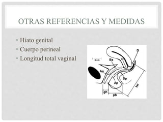 OTRAS REFERENCIAS Y MEDIDAS
• Hiato genital
• Cuerpo perineal
• Longitud total vaginal
 