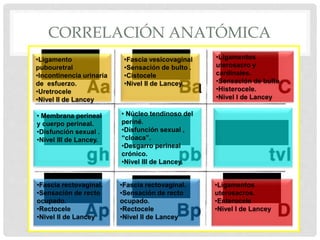 •Ligamento
pubouretral
•Incontinencia urinaria
de esfuerzo.
•Uretrocele
•Nivel II de Lancey
•Ligamentos
uterosacro y
cardinales.
•Sensación de bulto .
•Histerocele.
•Nivel I de Lancey
•Ligamentos
uterosacros.
•Enterocele
•Nivel I de Lancey
•Fascia rectovaginal.
•Sensación de recto
ocupado.
•Rectocele
•Nivel II de Lancey
•Fascia rectovaginal.
•Sensación de recto
ocupado.
•Rectocele
•Nivel II de Lancey
• Membrana perineal
y cuerpo perineal.
•Disfunción sexual .
•Nivel III de Lancey.
• Núcleo tendinoso del
periné.
•Disfunción sexual ,
“cloaca”.
•Desgarro perineal
crónico.
•Nivel III de Lancey.
•Fascia vesicovaginal
•Sensación de bulto .
•Cistocele
•Nivel II de Lancey.
CORRELACIÓN ANATÓMICA
 