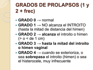 GRADOS DE PROLAPSOS (1 y
2 + frec)
 GRADO 0 → normal
 GRADO 1 → NO alcanza el INTROITO
(hasta la mitad de distancia del himen)
 GRADO 2 → alcanza el introito o himen
(> o < de 1 cm)
 GRADO 3 → hasta la mitad del introito
o himen vaginal
 GRADO 4 → cuando se exterioriza, o
sea sobrepasa el introito (himen) o sea
el histerocele, muy infrecuente
 