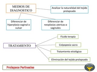MEDIOS DE
DIAGNOSTICO
Analizar la naturalidad del tejido
prolapsado
Diferenciar de
neoplasias utericas o
vaginales
Diferenciar de
hiperplasia vaginal o
vulvar
TRATAMIENTO
Fluido terapia
Eliminación del tejido prolapsado
Colpopexia sacra
Tratamiento etiológico
 
