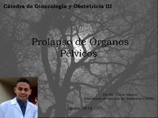 Cátedra de Ginecología y Obstetricia III
Prolapso de Órganos
Pélvicos
Por Br. Víctor Blanco
Estudiante de 6to año de Medicina UNERG
Agosto, 2018
 