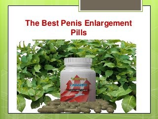 The Best Penis Enlargement
Pills
 