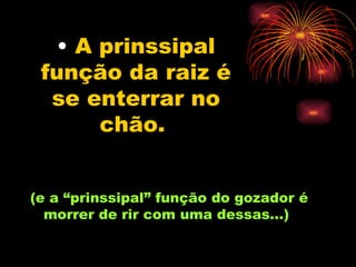 A prinssipal função da raiz é se enterrar no chão.   (e a “prinssipal” função do gozador é morrer de rir com uma dessas...) 