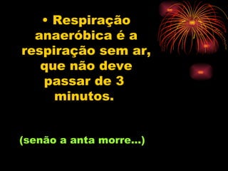 Respiração anaeróbica é a respiração sem ar, que não deve passar de 3  minutos.   (senão a anta morre...) 