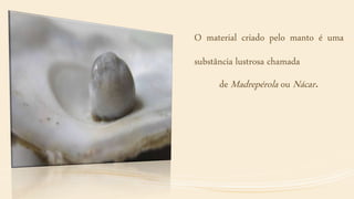 O material criado pelo manto é uma
substância lustrosa chamada
de Madrepérola ou Nácar.
 