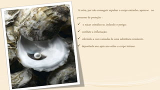 A ostra, por não conseguir expulsar o corpo estranho, apoia-se no
processo de proteção :
 o nácar cristaliza-se, isolando o perigo;
 combate a inflamação;
 cobrindo-a com camadas de uma substância resistente,
 depositada ano após ano sobre o corpo intruso.
 