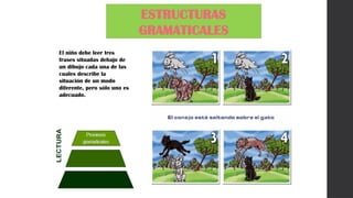 ESTRUCTURAS
GRAMATICALES
El niño debe leer tres
frases situadas debajo de
un dibujo cada una de las
cuales describe la
situación de un modo
diferente, pero sólo uno es
adecuado.
 
