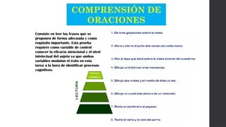 COMPRENSIÓN DE
ORACIONES
Consiste en leer las frases que se
proponen de forma adecuada y como
requisito importante. Esta prueba
requiere como variable de control
conocer la eficacia atencional y el nivel
intelectual del sujeto ya que ambas
variables modulan el éxito en esta
tarea a la hora de identificar procesos
cognitivos.
 