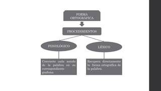 PROCEDIMIENTOS
FONOLÓGICO LÉXICO
Convierte cada sonido
de la palabra en su
correspondiente
grafema
Recupera directamente
la forma ortográfica de
la palabra.
FORMA
ORTOGRÁFICA
 