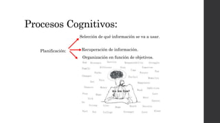 Procesos Cognitivos:
Planificación:
Selección de qué información se va a usar.
Recuperación de información.
Organización en función de objetivos.
 