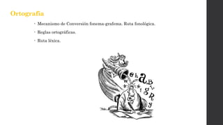 Ortografía
• Mecanismo de Conversión fonema-grafema. Ruta fonológica.
• Reglas ortográficas.
• Ruta léxica.
 