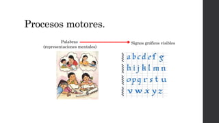Procesos motores.
Palabras
(representaciones mentales)
Signos gráficos visibles
 