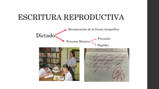 ESCRITURA REPRODUCTIVA
Dictado
Recuperación de la forma ortográfica
Procesos Motores
Precisión
Rapidez
 