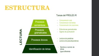 ESTRUCTURA
 