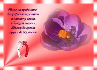 После на градините - да цъфтят гиргините и латинки алени, и божури шарени. Ябълки да зреят, круши да жълтеят. 